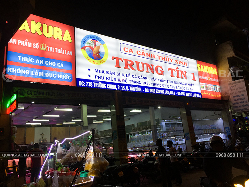 Biển hộp đèn hiflex