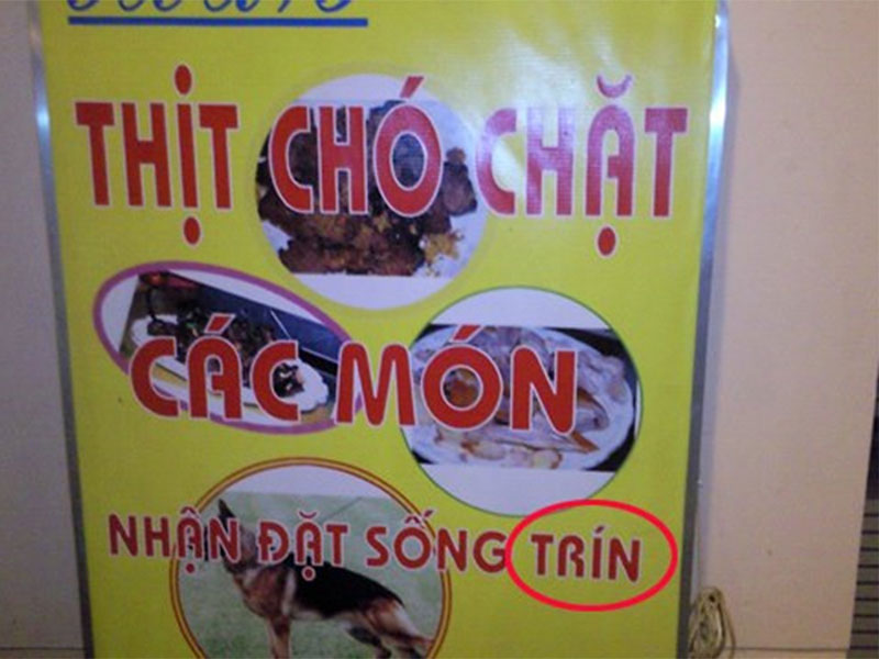 Lỗi sai chính tả