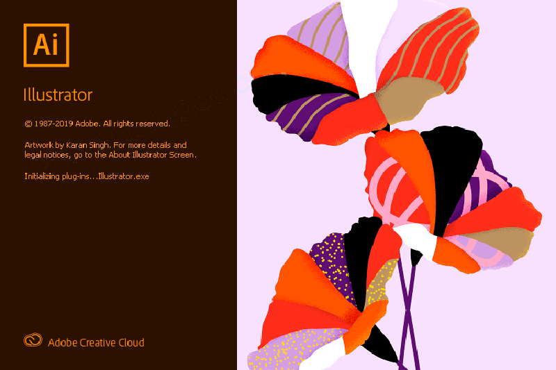Adobe Illustrator 2020